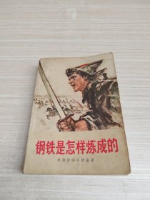 《钢铁是怎样炼成的》