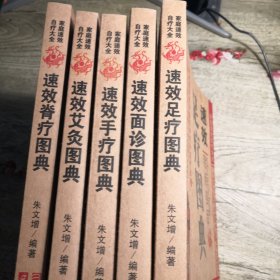 家庭速效自疗大全：速效脊疗图典 速效艾灸图典 速效手疗图典 速效面诊图典 速效足疗图典（5册合售）