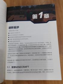 MINECRAFT我的世界 高手进阶攻略