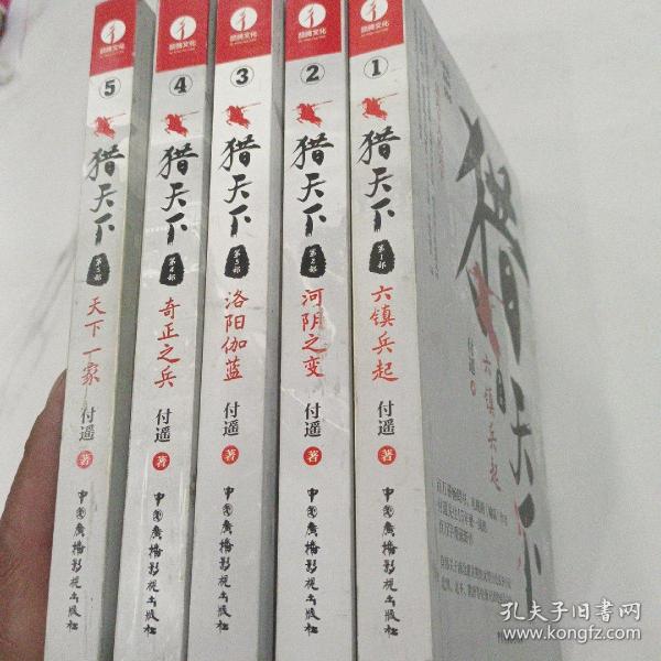 猎天下 第2部：河阴之变 付遥作品 （终结南北朝两百年乱世、开创隋唐四百年盛世的英雄史诗）