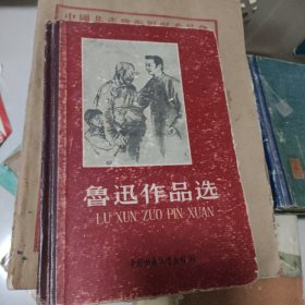 鲁迅作品选