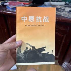 中原抗战（原国民党将领抗日战争亲历记）