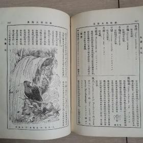 动物学大辞典（全一册民国版）