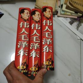 伟人毛泽东 全三卷