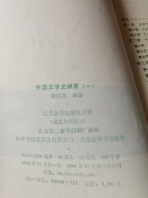 中国文学史纲要 一二三四