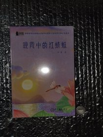 晚霞中的红蜻蜓·荆棘奶酪儿童文学系列丛书·现教社联手当代儿童文学著名作家亲情打造