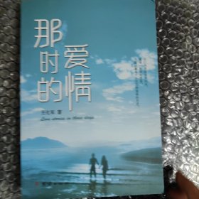 那时的爱情，王化军