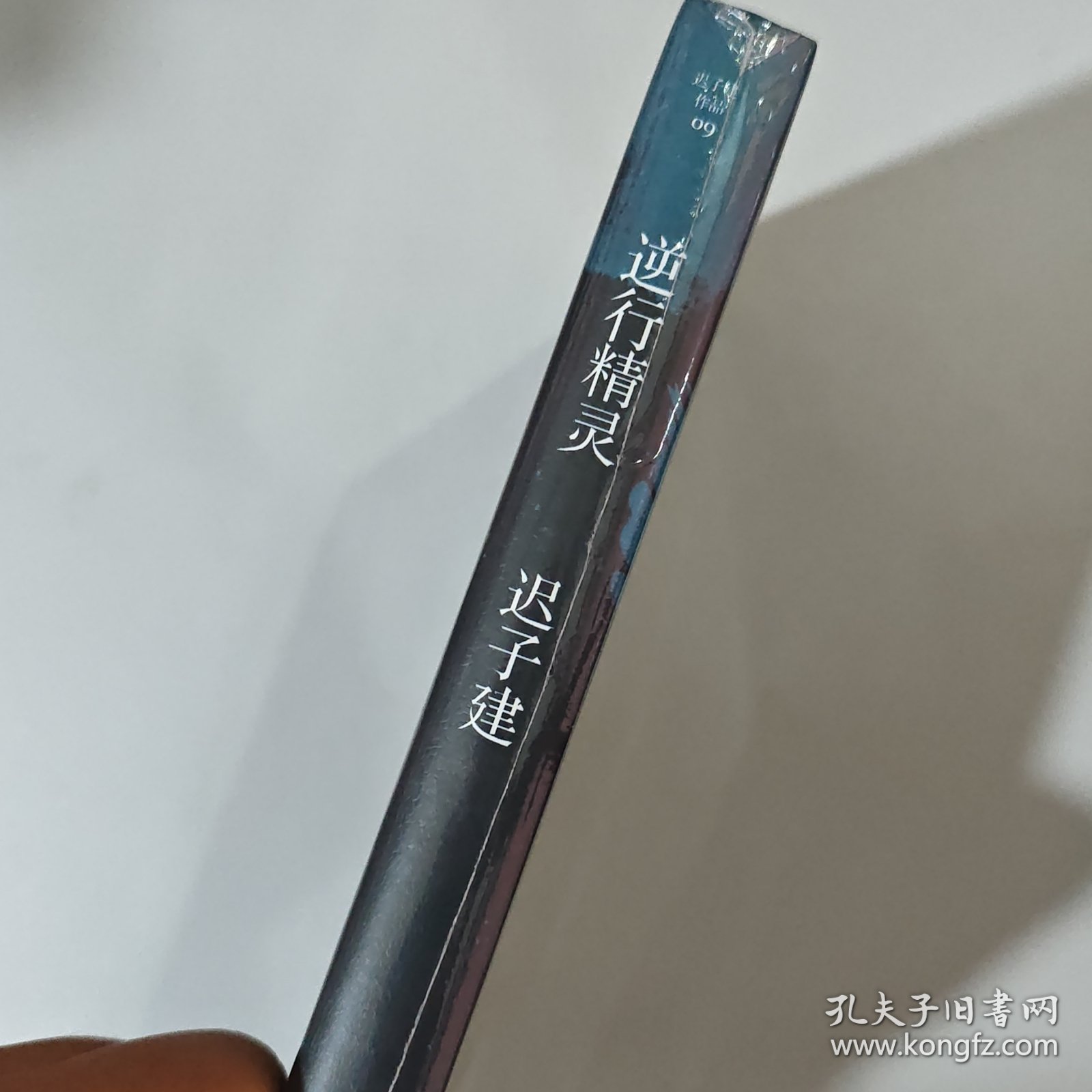 逆行精灵（茅盾文学奖、鲁迅文学奖得主迟子建小说代表作）pd