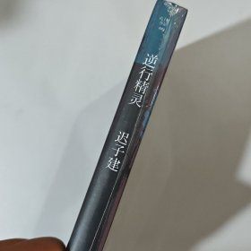 逆行精灵（茅盾文学奖、鲁迅文学奖得主迟子建小说代表作）pd