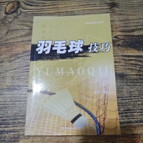 大众体育技巧丛书 羽毛球技巧