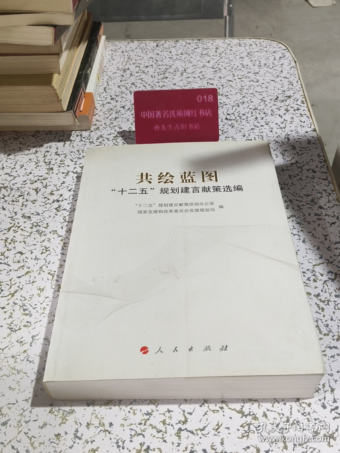 共绘蓝图：“十二五”规划建言献策选编