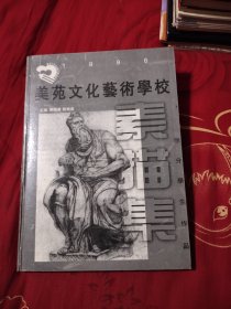 美苑文化艺术学校1996  精装印500册，39.87元包邮，