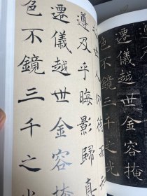 历代名碑名帖实临丛书 翁志飞实临解析雁塔圣教序