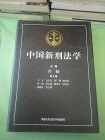 中国新刑法学