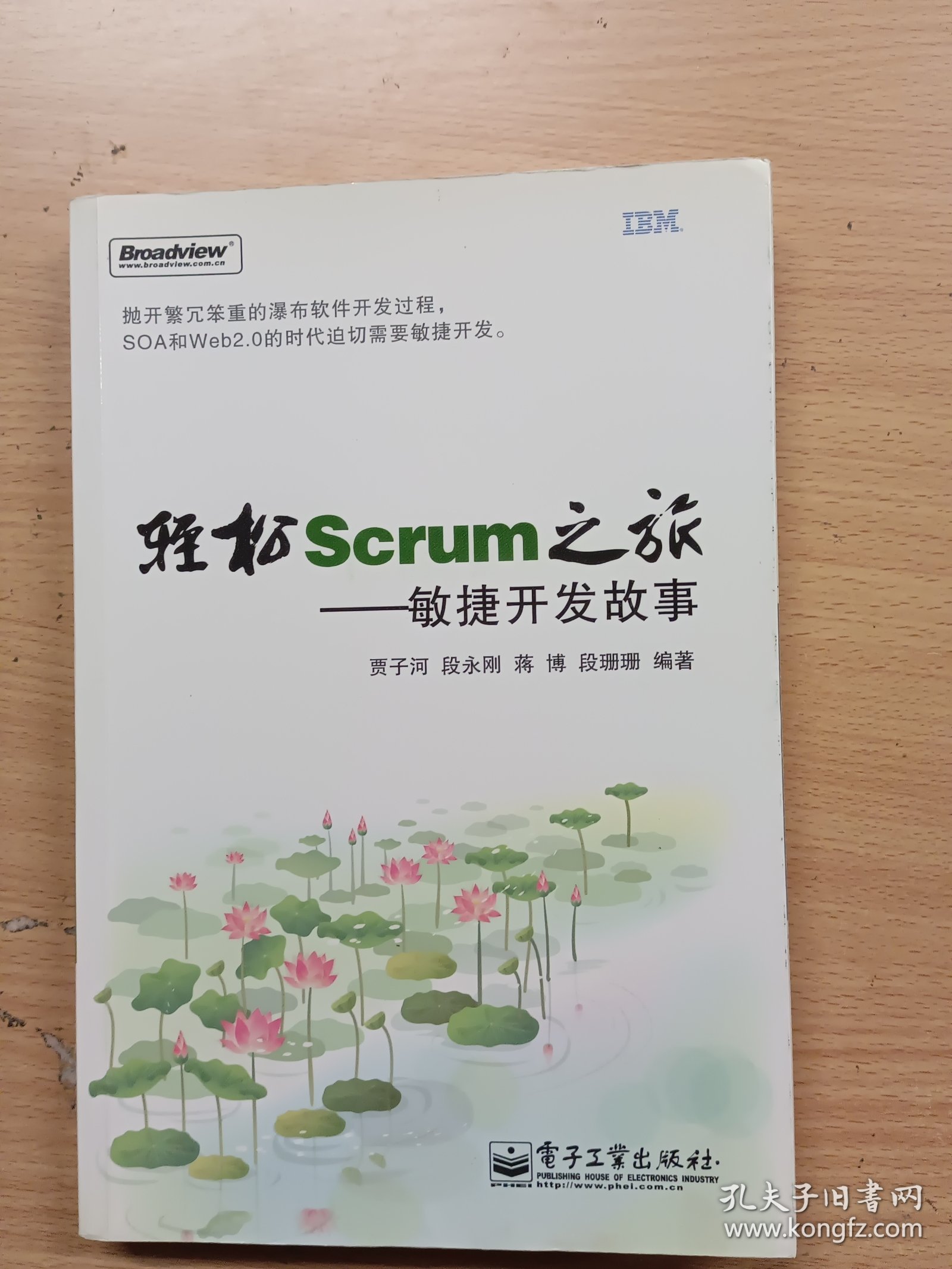 轻松Scrum之旅：敏捷开发故事