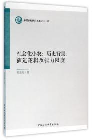 社会化小农:历史背景、演进逻辑及张力限度