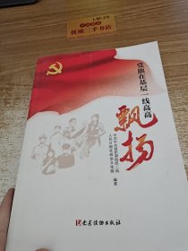 党旗在基层一线高高飘扬