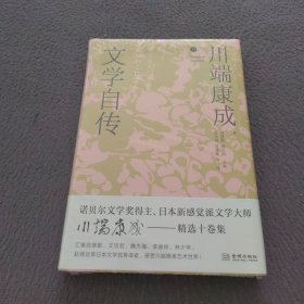 文学自传（精装版）