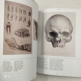 Anatomica: The Exquisite and Unsettling Art of Human Anatomy 解剖术：人体解剖精美艺术