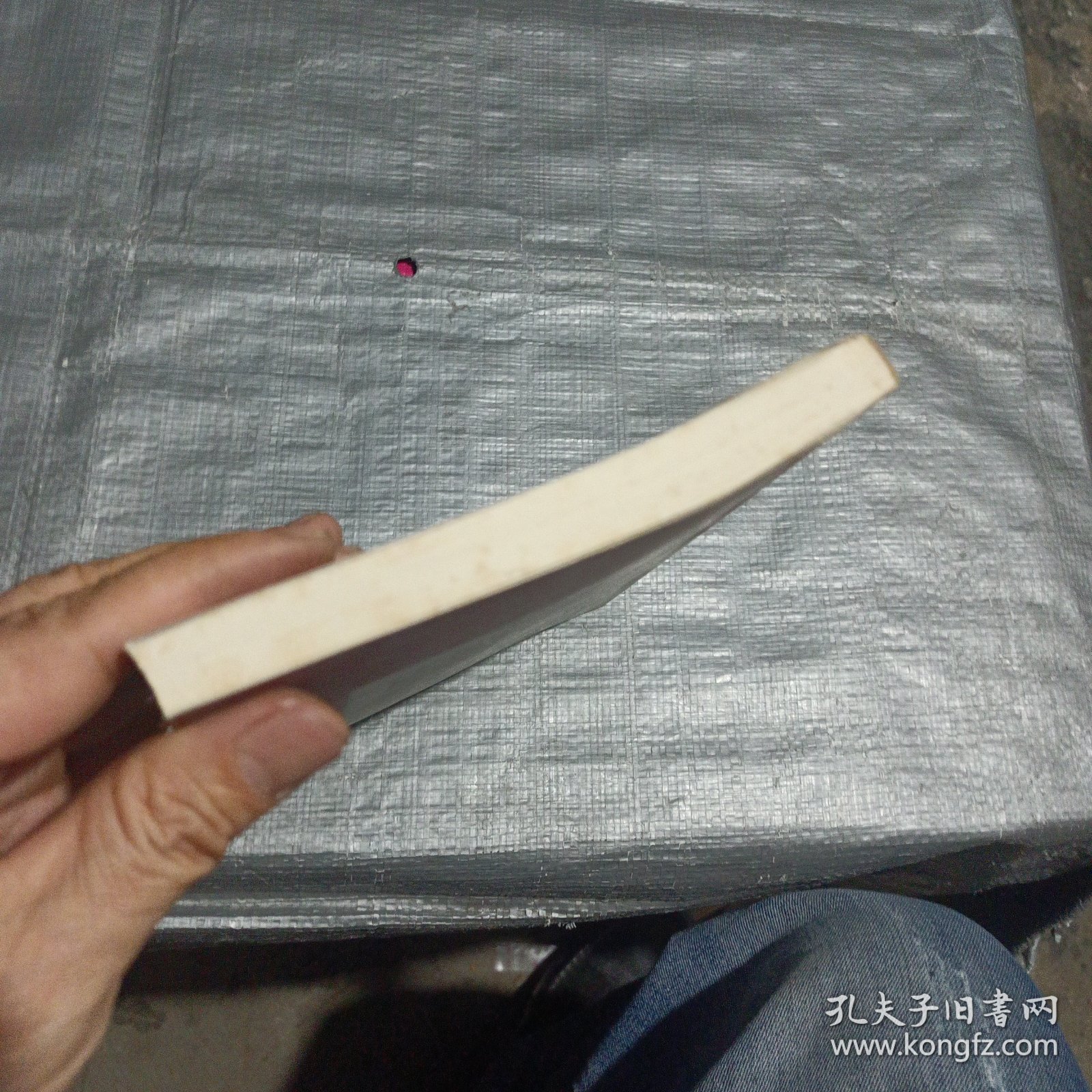 全球化与中国：一位法国学者谈当代文化交流