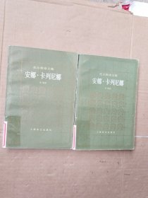 安娜卡列尼娜（上下）上海译文出版社