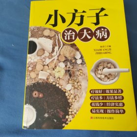 小方子治大病 中医书籍养生偏方大全民间老偏方美容养颜常见病防治 保健食疗偏方秘方大全小偏方老偏方中医健康养生保健疗法