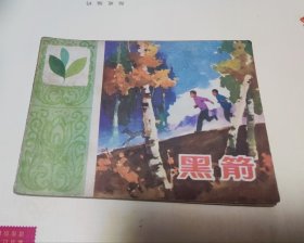 黑箭，连环画，家1。