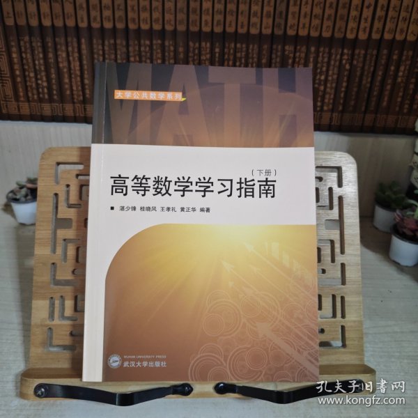 大学公共数学系列：高等数学学习指南（下册）