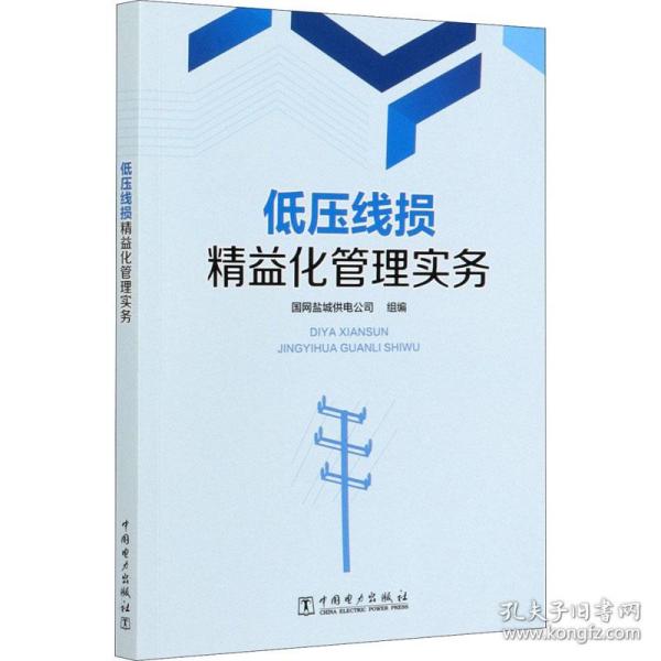 保正版！低压线损精益化管理实务9787519848378中国电力出版社国网盐城供电公司