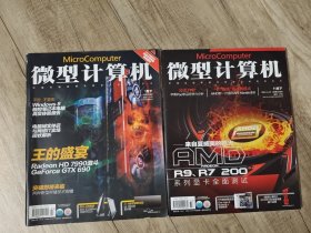 微型计算机 2013年 1下 11下