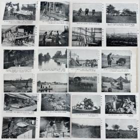 1920年 满洲写真大观 青岛三船写真馆 出品。书中图片丰富，忠实再现了当是旧东北的社会人文，自然风光 ，民俗 ，老建筑等面貌。26*19.5cm。