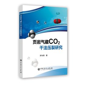 頁巖氣藏CO2干法壓裂研究