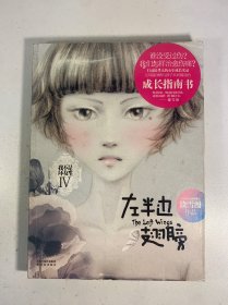 左半边翅膀：我不是坏女生IV