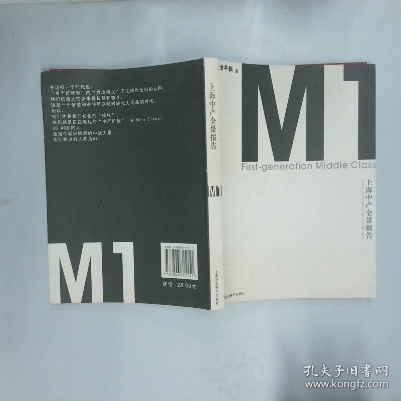 上海中产全景报告