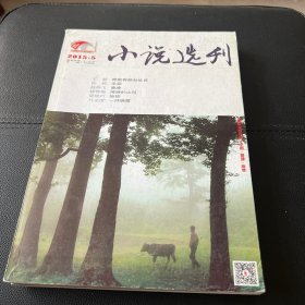 小说选刊 2015年5,6月