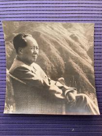 江青（笔名李进）1961年拍摄毛主席在庐山坐相（黑白照片）原版照片