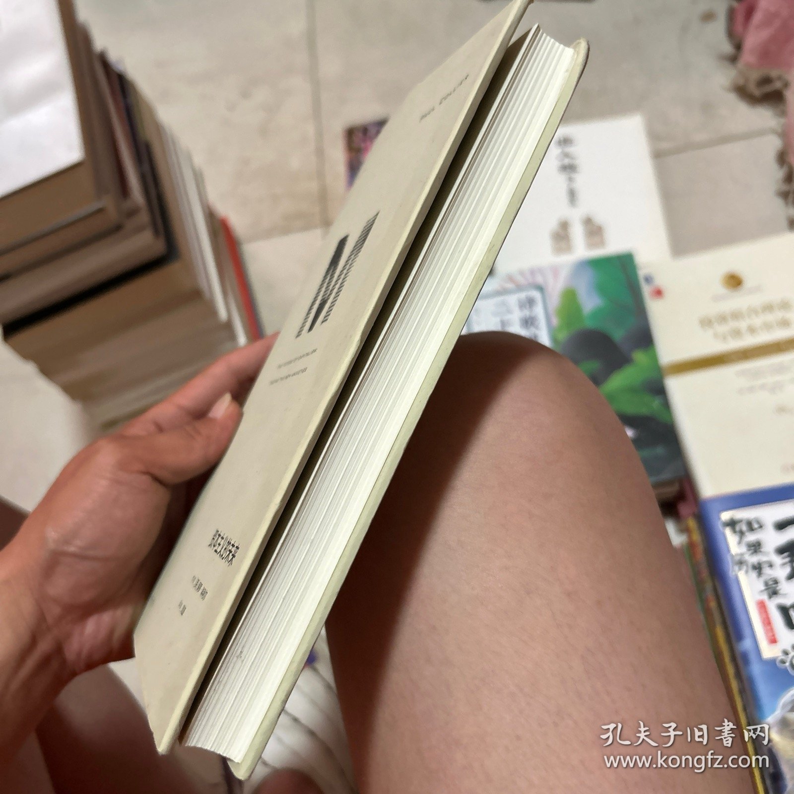 理想国译丛043：资本主义的未来