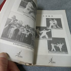 中国武功绝招丛书：传统杨氏大架太极拳 械 推手 李雅轩太极推手精粹