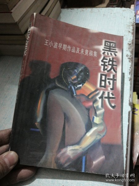 黑铁时代：王小波早期作品及未竟稿集