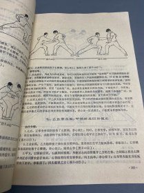 少林寺拳棒阐宗