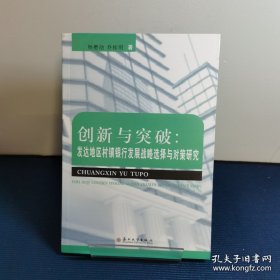 创新与突破：发达地区村镇银行发展战略选择与对策研究