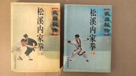 武当秘传松溪内家拳.上下册