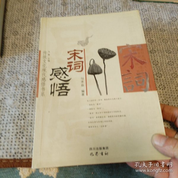 宋词感悟——传统文化现代感悟书系