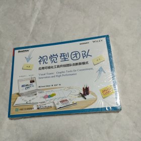 视觉型团队：应用可视化工具开创团队创新新模式（双色）