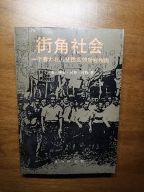 街角社会：一个意大利人贫民区的社会结构