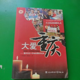 大爱重庆:重庆市红十字会抗震救灾纪实