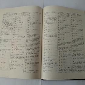 新部首大字典