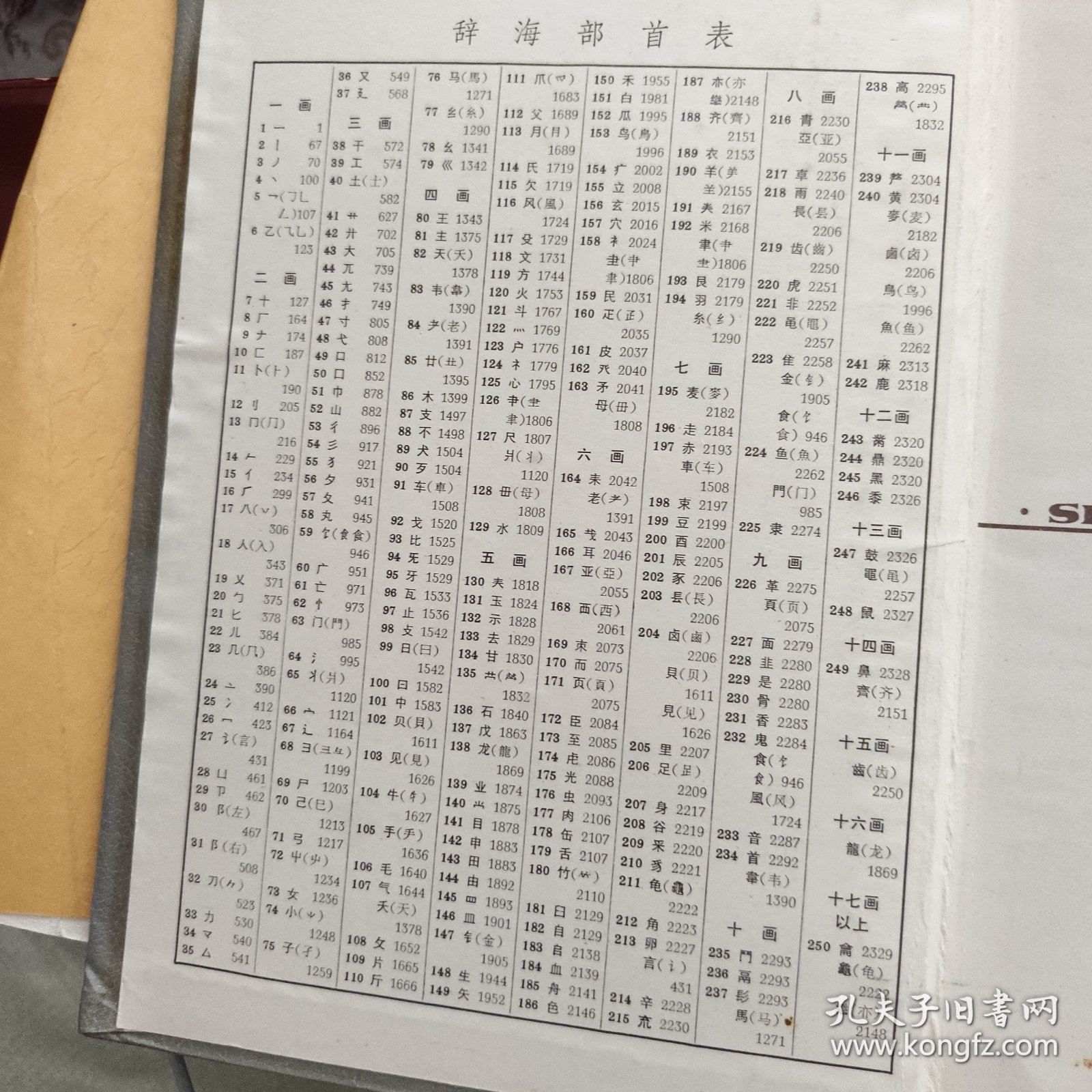 辞海:1989年版:缩印本