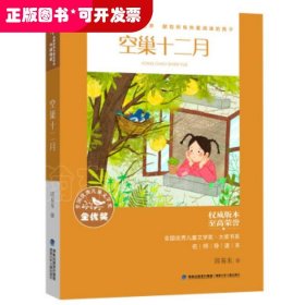 35折全国优秀儿童文学奖·大奖书系·空巢十二月