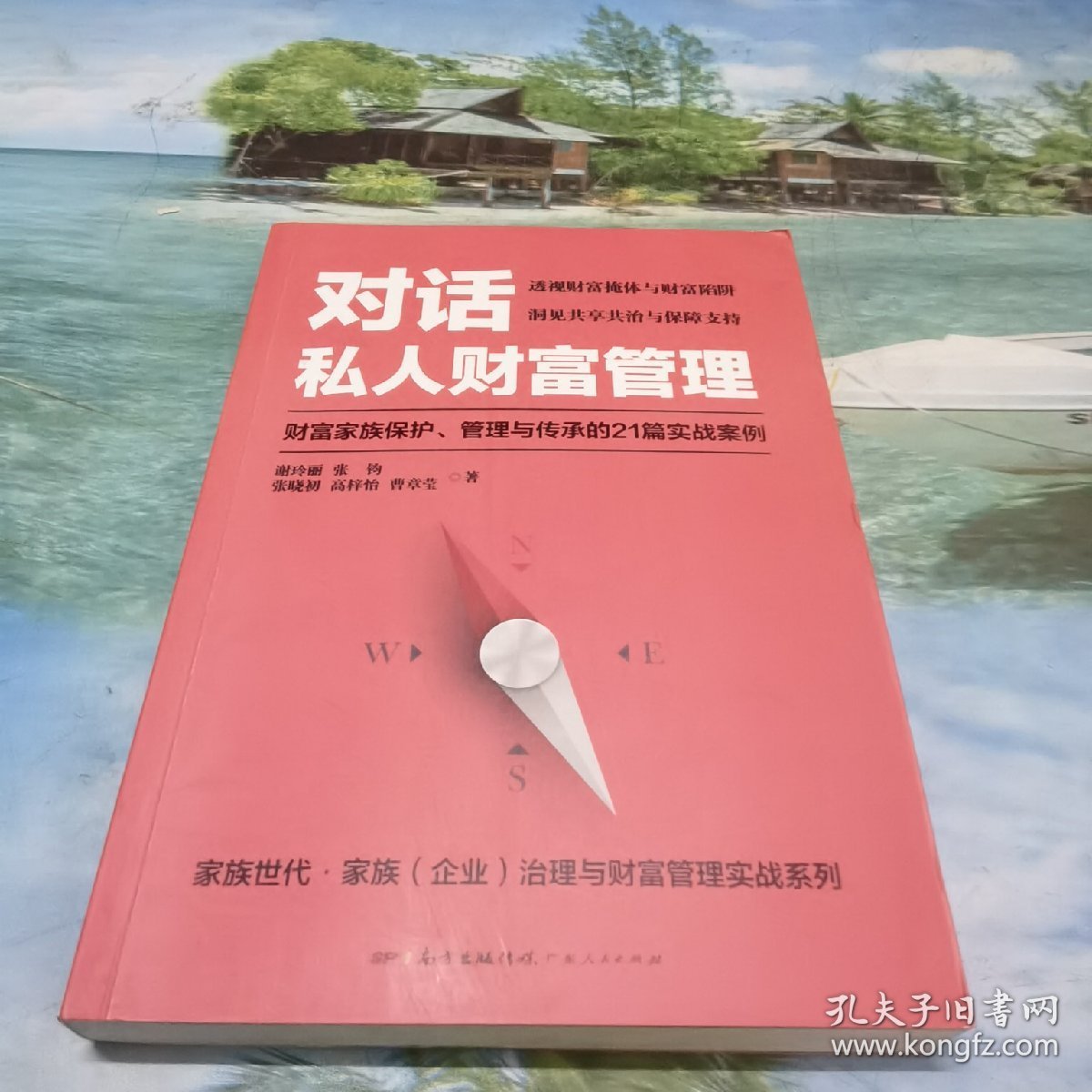 对话私人财富管理：财富家族保护、管理与传承的21篇实战案例